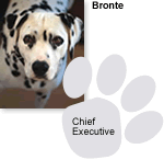 Photo of Bronte - Chief Executive