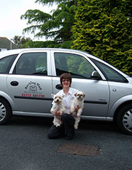 Photo of Alison Gledhill - One of the many Barking Mad dog sitters