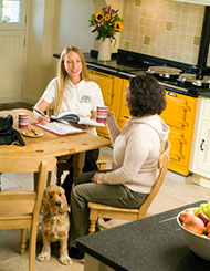 Photo of dog volunteer being introduced to Barking Mad franchising
