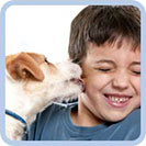 Petplan
