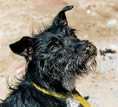 Photo of Sally