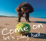 Come on let's play ball