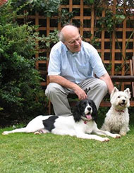 Photo of one of our hosts dog sitting 2 friends
