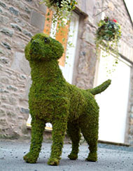 Photo of dog statue outside the Barking Mad HQ
