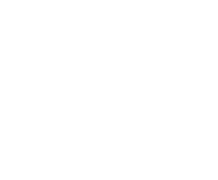 Big paw print