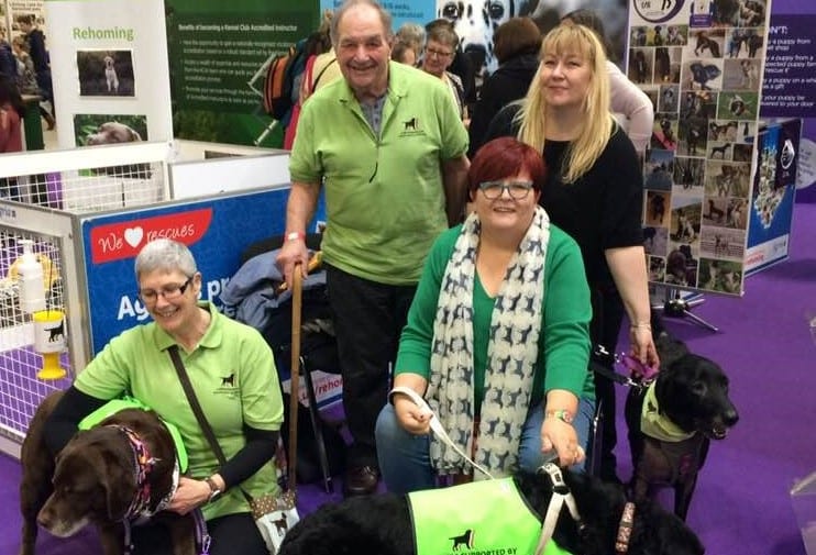 Fiona, our Barking Mad Pet Sitting Assistant, in her other role as volunteer for the Labrador Rescue South East and Central