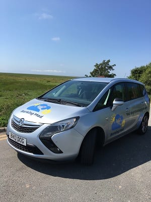 Dog sitting business Southport