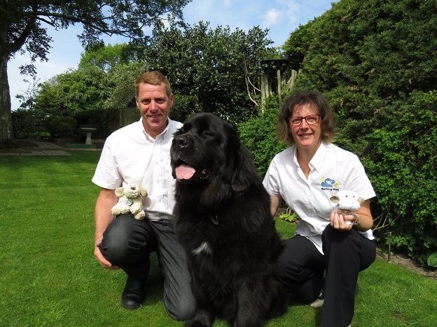 Bakring Mad burnese mountain dog sitting home boarding leeds