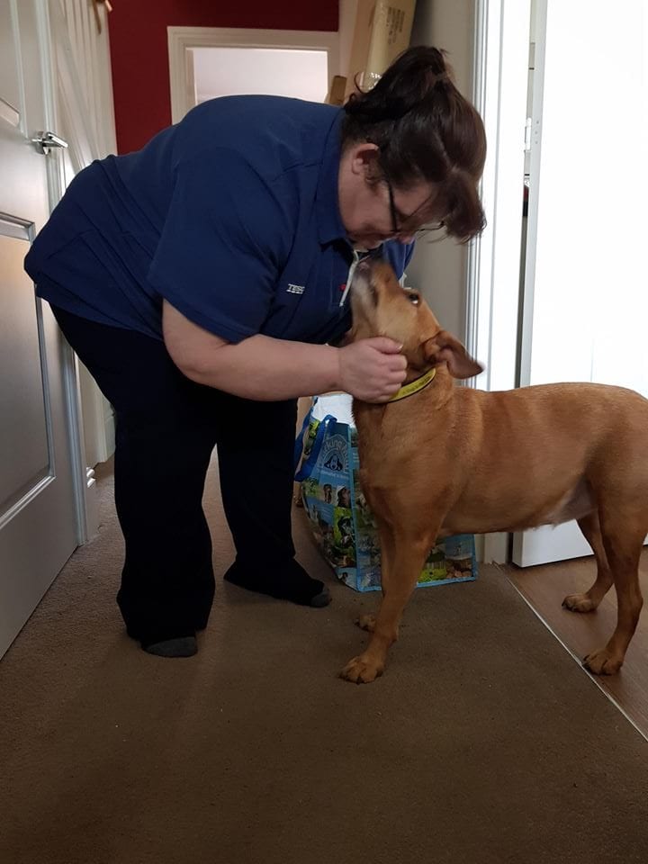 Barking Mad dog sitters love caring for dogs whose owners are on holiday