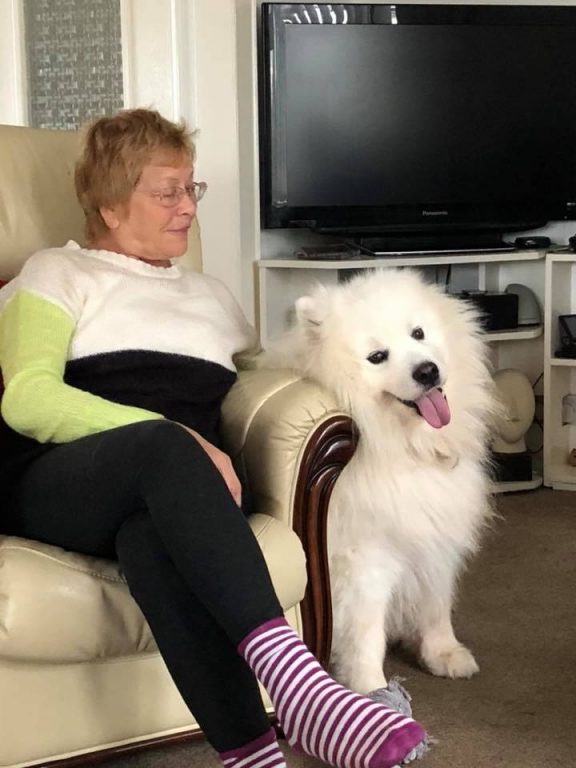 1 Milo With Brenda Barking Mad Dog Sitting Home Boarding Newark