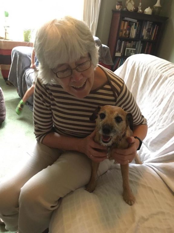 10 Betty From North Muskham With Sue Barking Mad Dog Sitting Home Boarding Newark