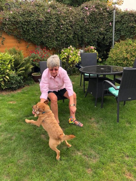 6 Sid With Janine In Grantham Barking Mad Dog Sitting Home Boarding Newark