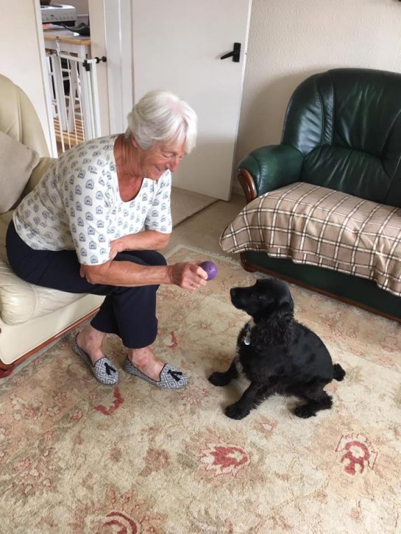 7 Jess With Barbara Barking Mad Dog Sitting Home Boarding Newark