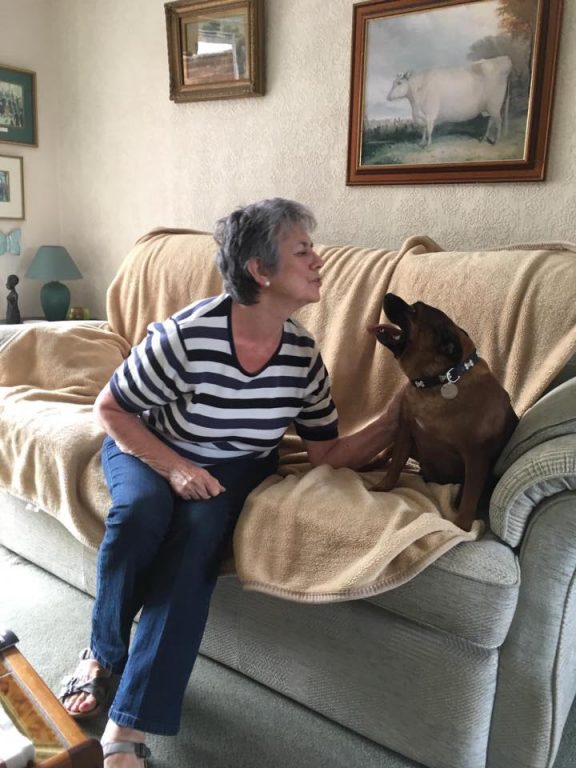 8 Tigger With Delia Barking Mad Dog Sitting Home Boarding Newark