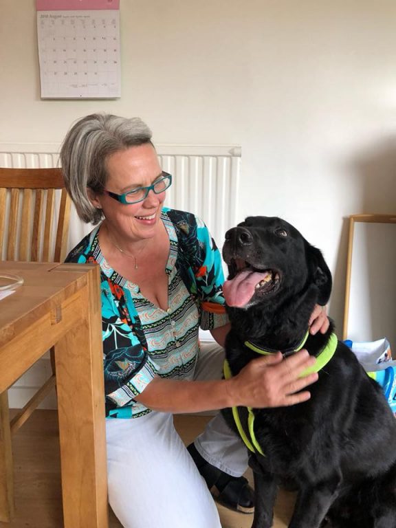 9 Hoolie With Sylvia Barking Mad Dog Sitting Home Boarding Newark