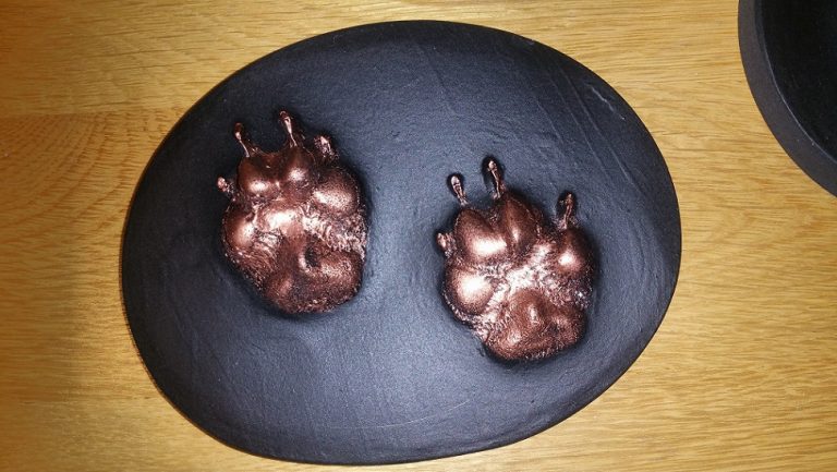 3d Paw Print Barking Mad Dog Sitting Service Home Boarding Newcastle