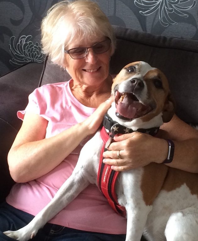 Pat And Marli Barking Mad Dog Sitting Home Boarding Cotswolds