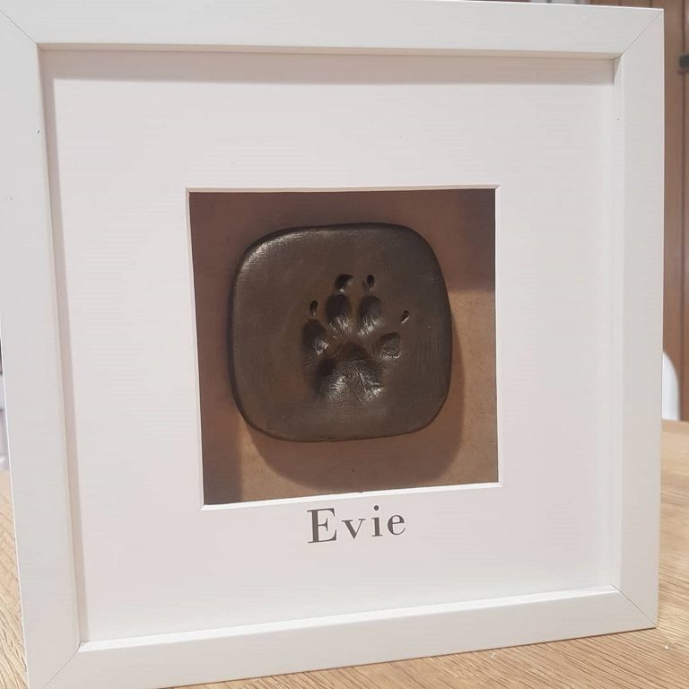 Paw Print Barking Mad dog sitting home boarding Newcastle