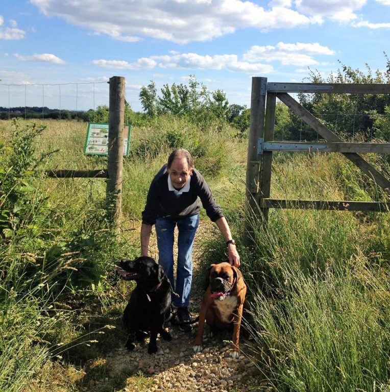 barking mad host oxfordshire home boarding dog sitting