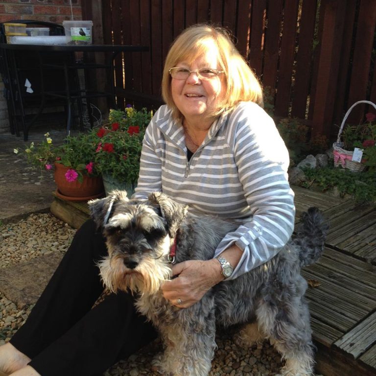 barking mad host oxfordshire home boarding dog sitting