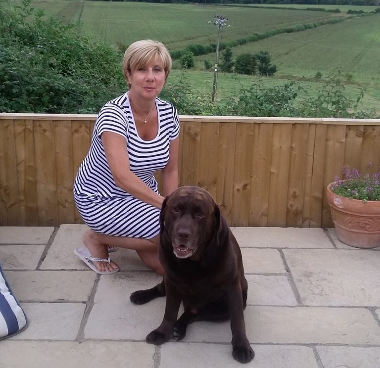 barking mad host oxfordshire home boarding dog sitting