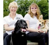 How To Start A Pet Care Business What Are Your Options Barking Mad Uk How To Start A Pet Care Business What