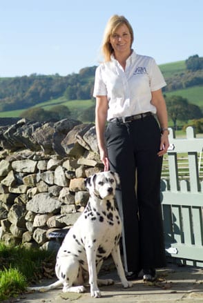 Barking Mad Lee Bronte dog sitting business franchise dalmatian dog