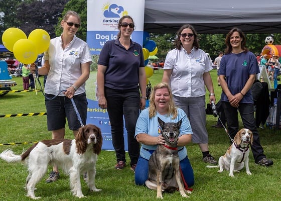 Barking Mad Taunton Team Naomi and Amy (white shirts), Judges Nikki and Tara from Ferne Animal Sactuary (dark blue shirts) and Elaine Simpson (light blue shirt) from the Ilminster Midsummer Experience team. Photo curtsey of: www.sfstudiosonline.co.uk)