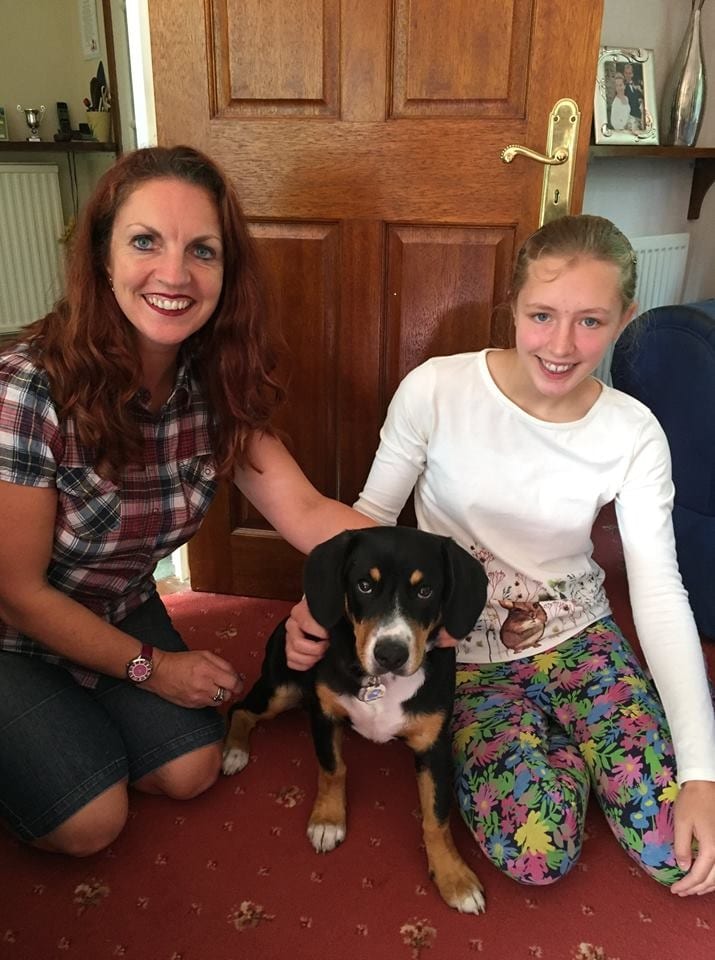 Barking Mad Maidstone Dog Sitting Local News