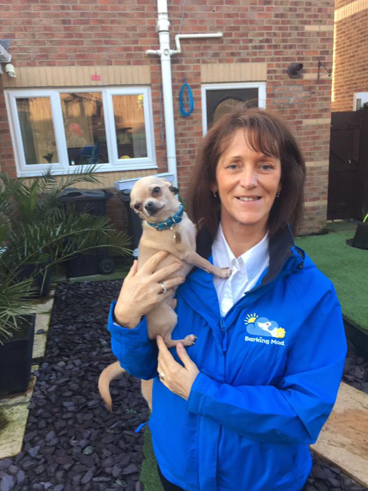 Dog Boarding in Cleveland and Dog Sitting Barking Mad