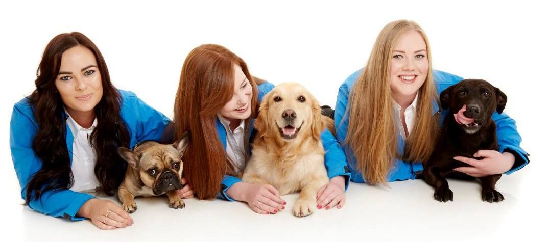 Amy, Shannon And Chloe Are Proud New Owners Of Barking Mad Edinburgh