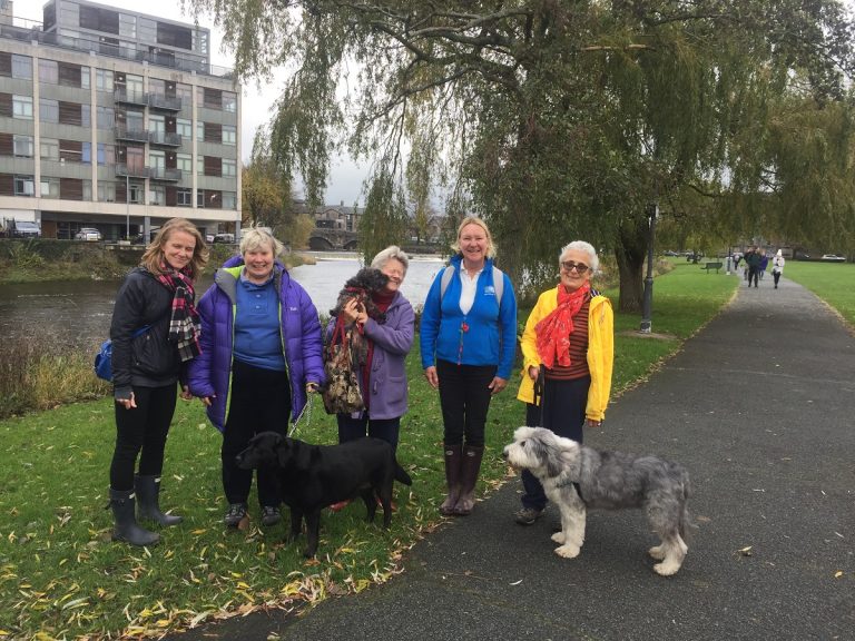 barking mad south lakes dog walk kendal exercise hosting dog boarding pet sitting