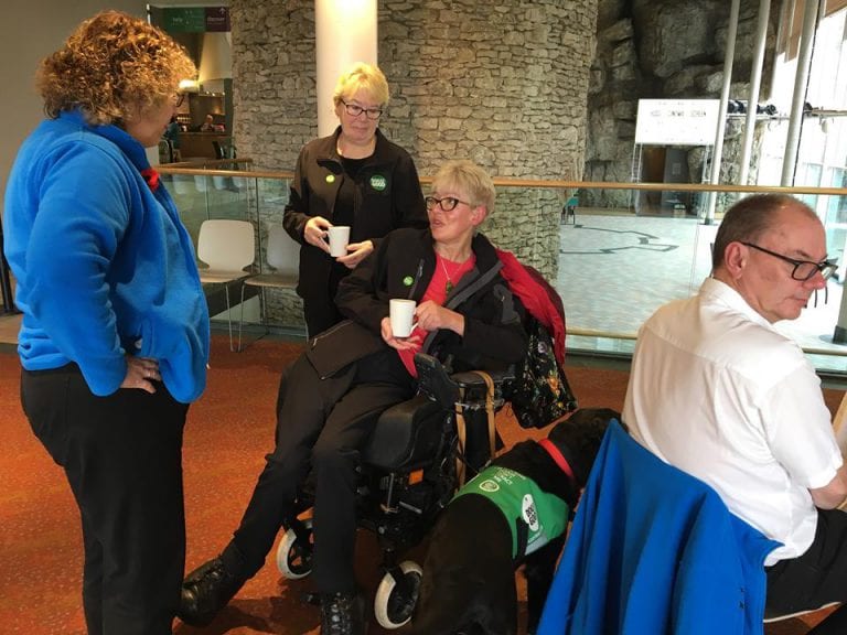Barking Mad Dog Sitters Meet Dogs For Good Assistance Dog And Handler