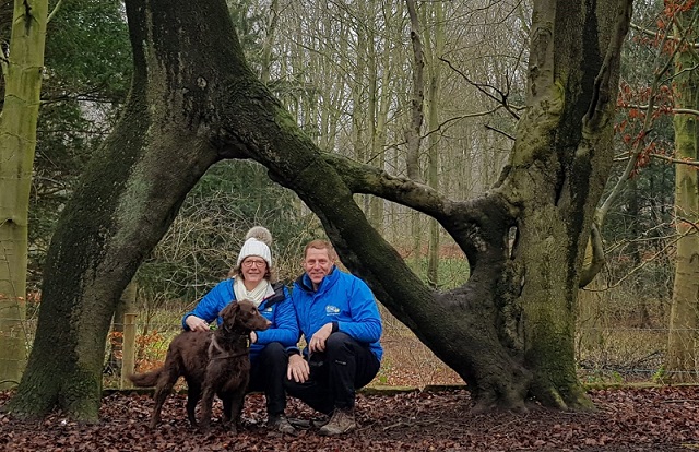 We Love Taking Our Dogs To Meet The Tree. barking mad leeds dog sitting home boarding 