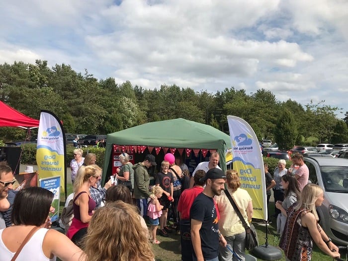 Barking Mad Fife Dog Sitting Local News