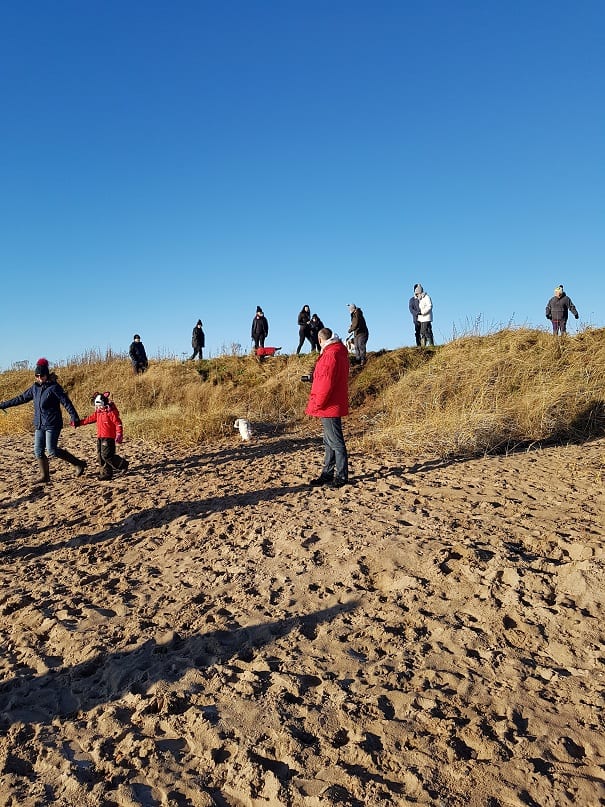Barking Mad Fife Dog Sitting Local News