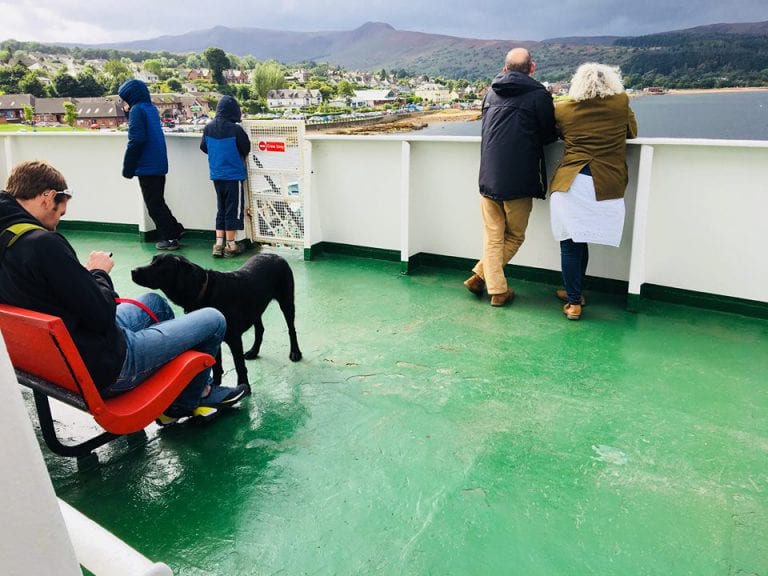 Can I Take My Dog on a Ferry?
