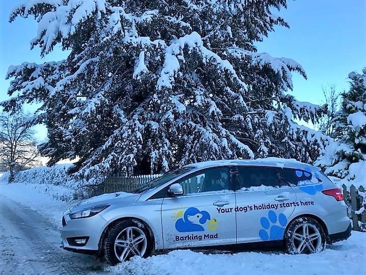 Barking mad car in the winter snow in hereford and ludlow