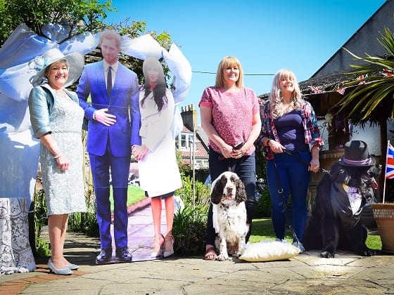 A gentle giant Newfoundland dog, officially named after Prince Harry by his royalist owners