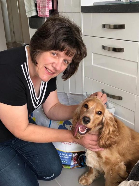 Barking Mad Newark, Sherwood Dog Sitting News