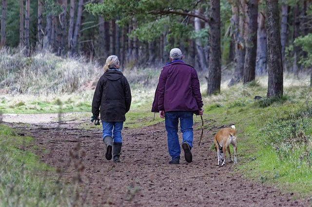 Retirement Activities In Somerset Main Image