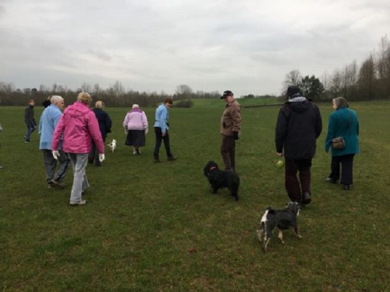 Barking Mad Bristol Home boarding dog sitting john johnson A Host Walk At Pomphreys, Including Two Of Our Dogs Who Are A Brother And Sister That Rarely See Each Other. They Had A Lot Of Fun!