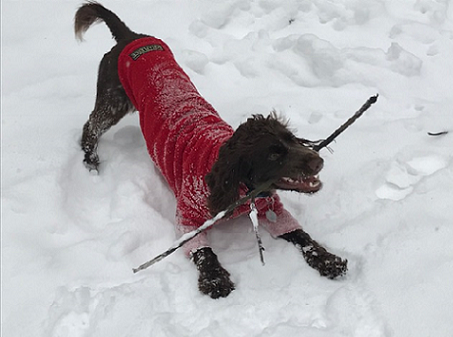 Baker In The Snow Resized