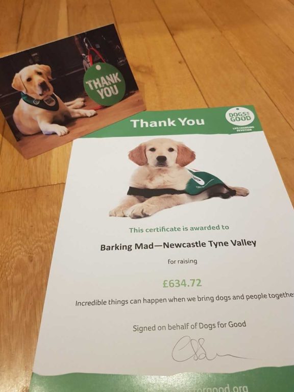 Dfg Thank You 2018 Dog sitting home boarding carrie jarvis newcastle Barking Mad