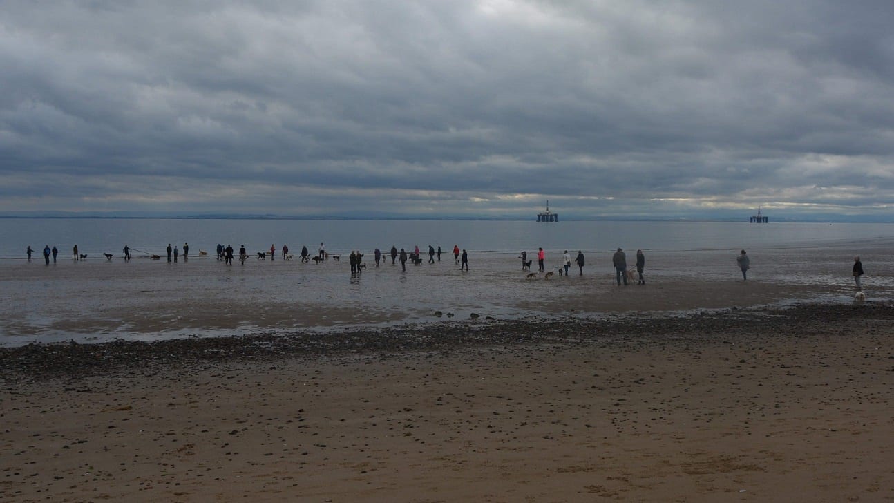 Barking Mad Fife Dog Sitting Local News