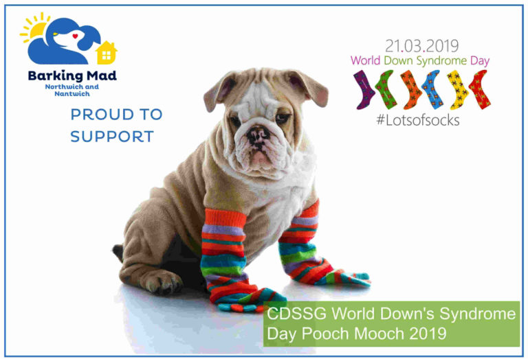 Poochmooch2019