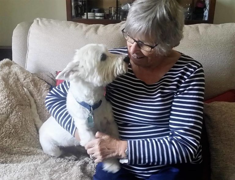 Joyce And Charlie Dog sitting home boarding carrie jarvis newcastle Barking Mad