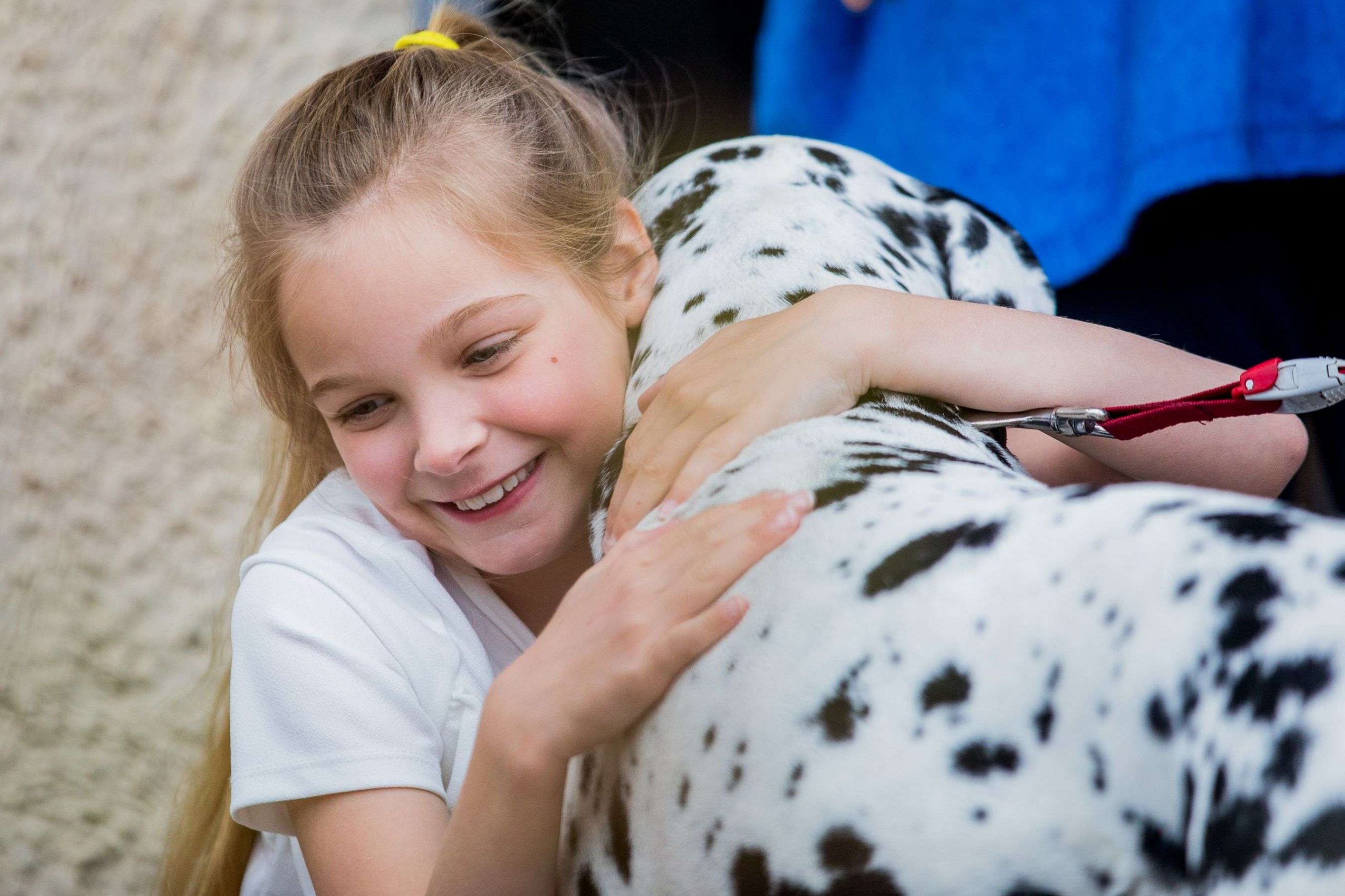 Barking Mad Dog Sitting Elsie May host home boarding cuddle at door dalmation Lottie