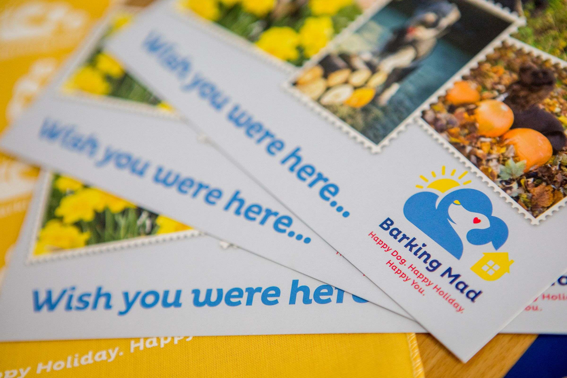 Barking Mad Dog Sitting Wish You Were Here Postcards