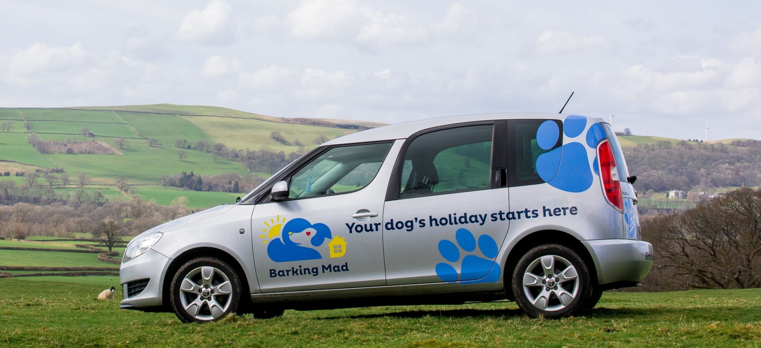 Barking Mad Dog Sitting Car On Hillside
